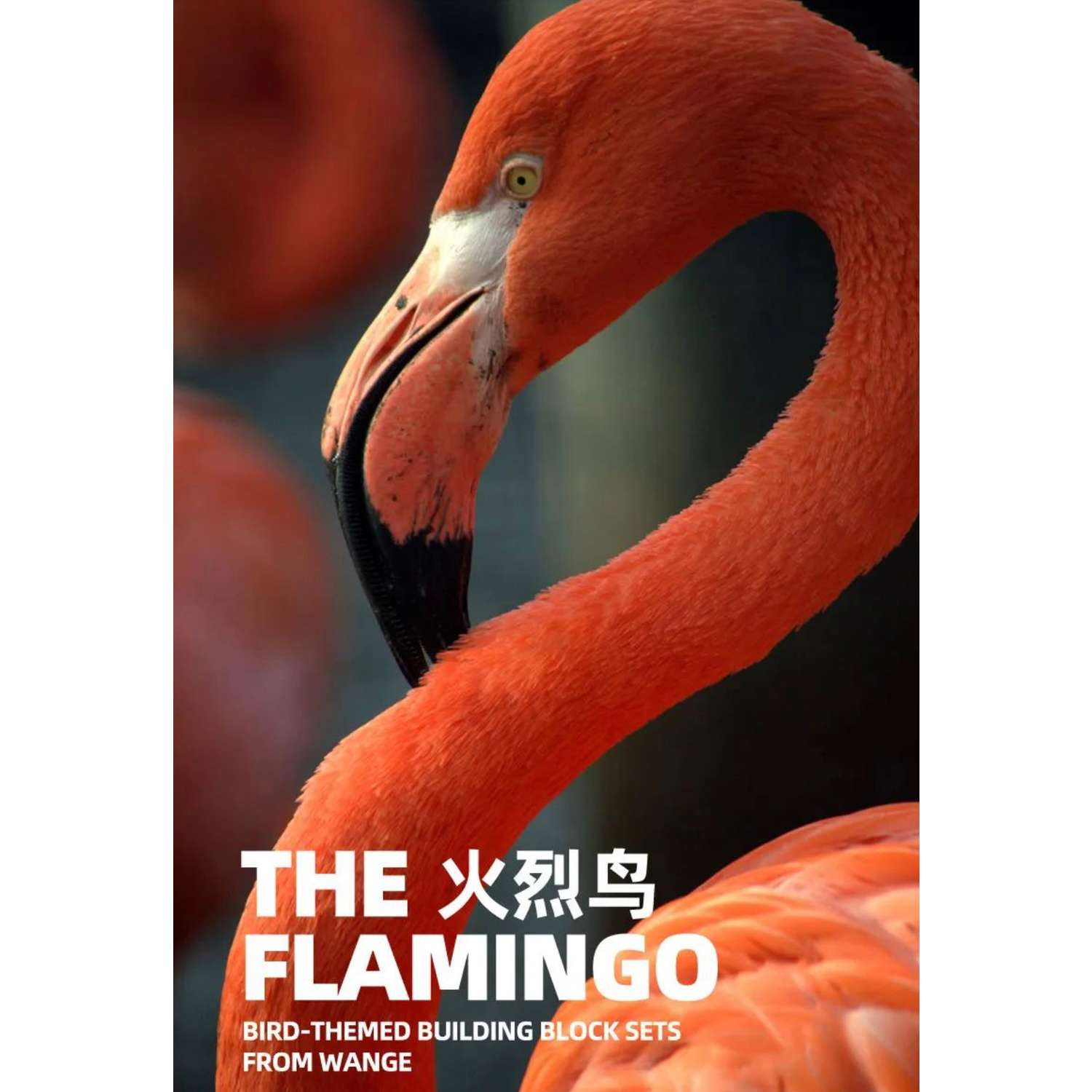 Конструктор Птицы Wange Фламинго - фото 4