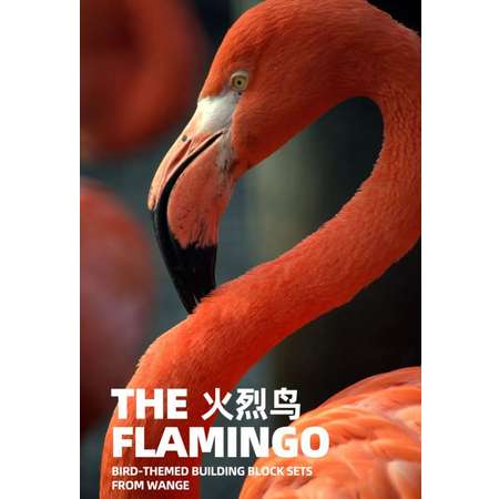 Конструктор Птицы Wange Фламинго