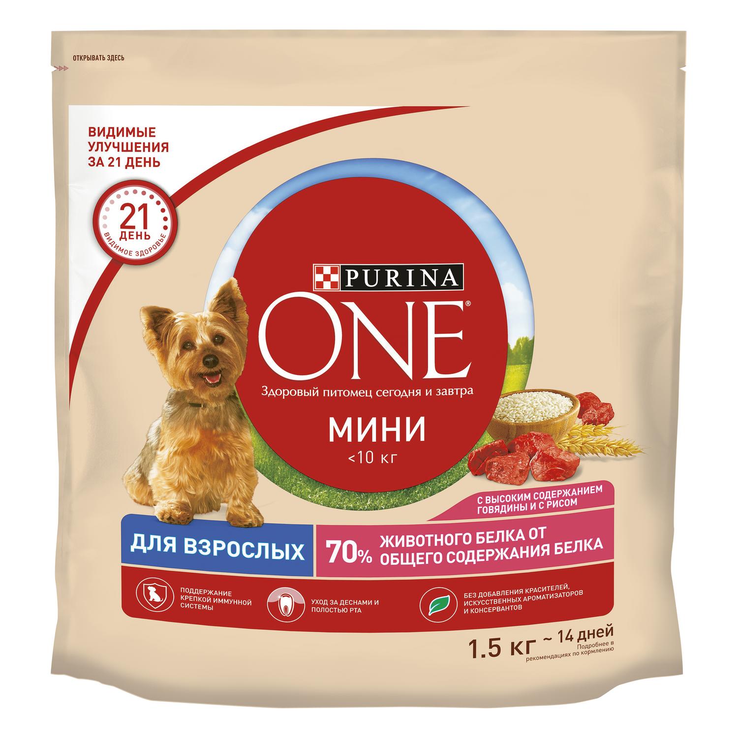 Корм для собак Purina One Mini мелких и карликовых пород говядина-рис 1,5  кг купить по цене 599 ₽ с доставкой в Москве и России, отзывы, фото