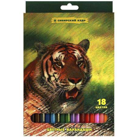 Карандаши цветные СКФ 18 цв. Тигр