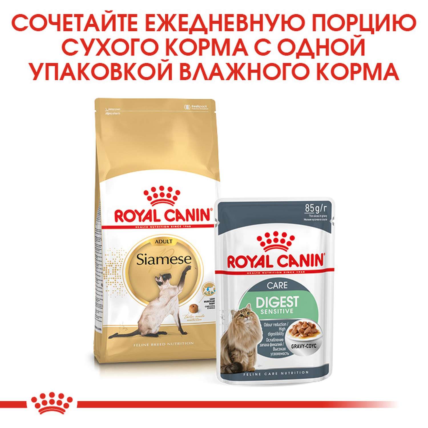 Корм сухой для кошек ROYAL CANIN 2кг Сиамских - фото 8