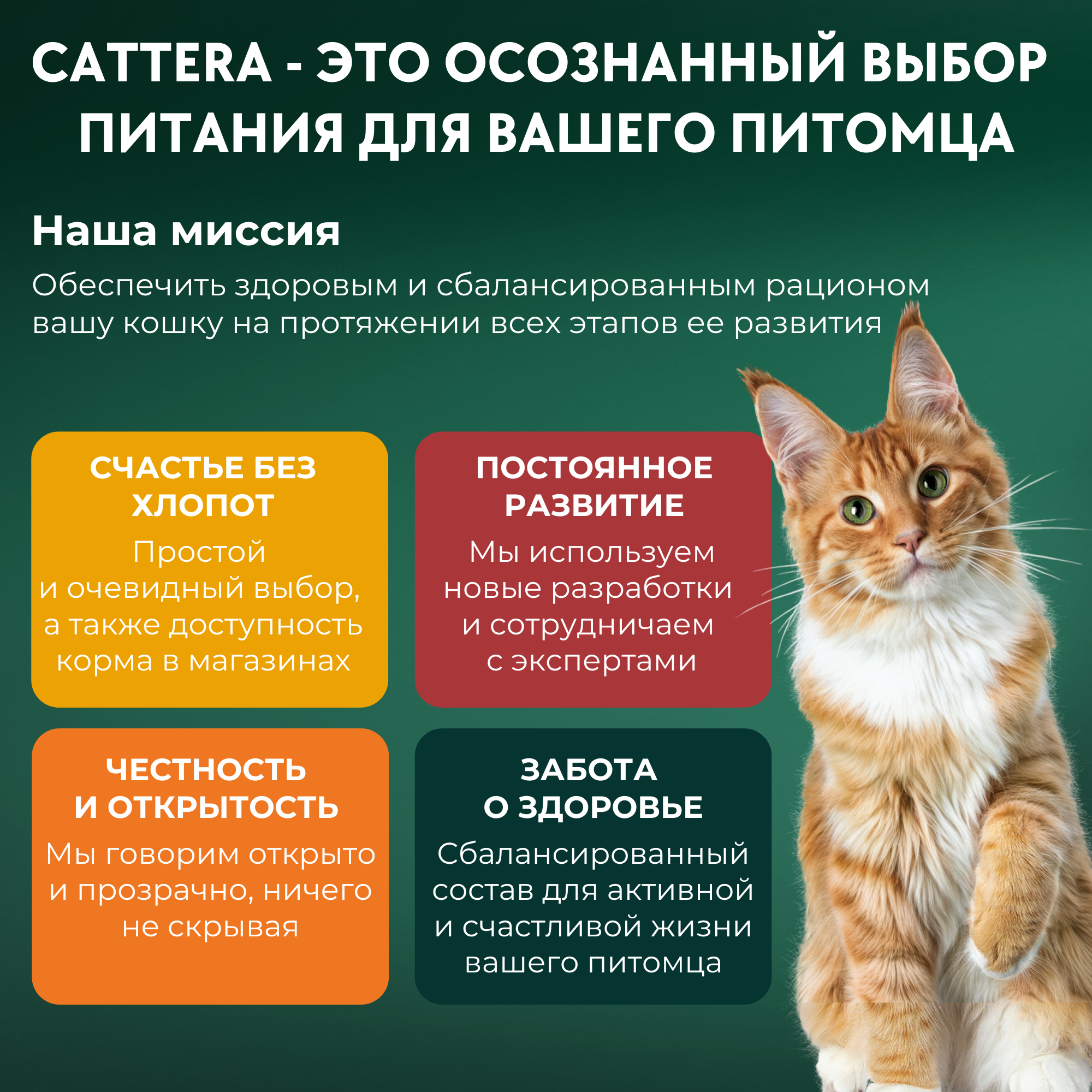 Корм сухой для кошек Cattera полнорационный для котят с 1 месяца, беременных и кормящих кошек с курицей 0,3 - фото 6