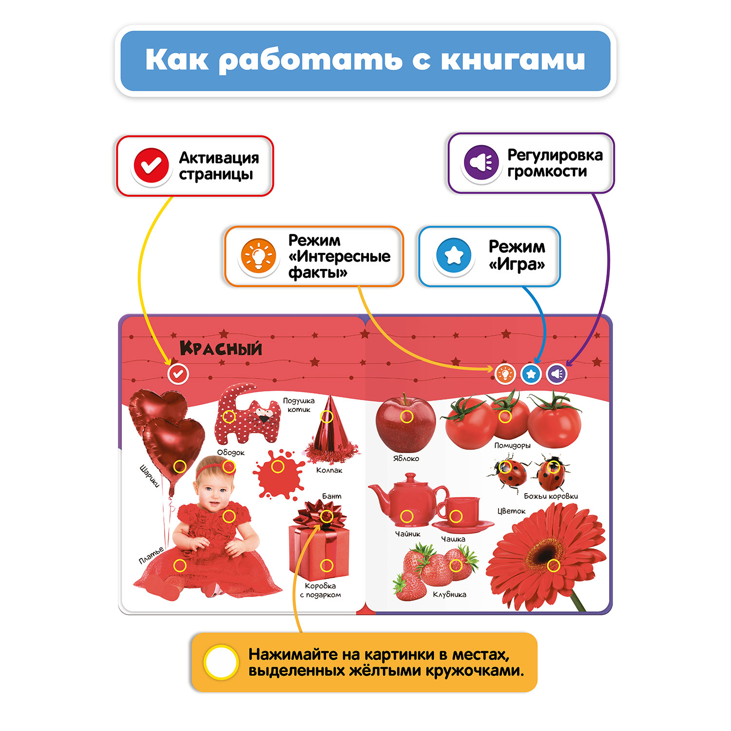 Комплект говорящих книжек BertToys Нажималки: Транспорт + Цвета - фото 5