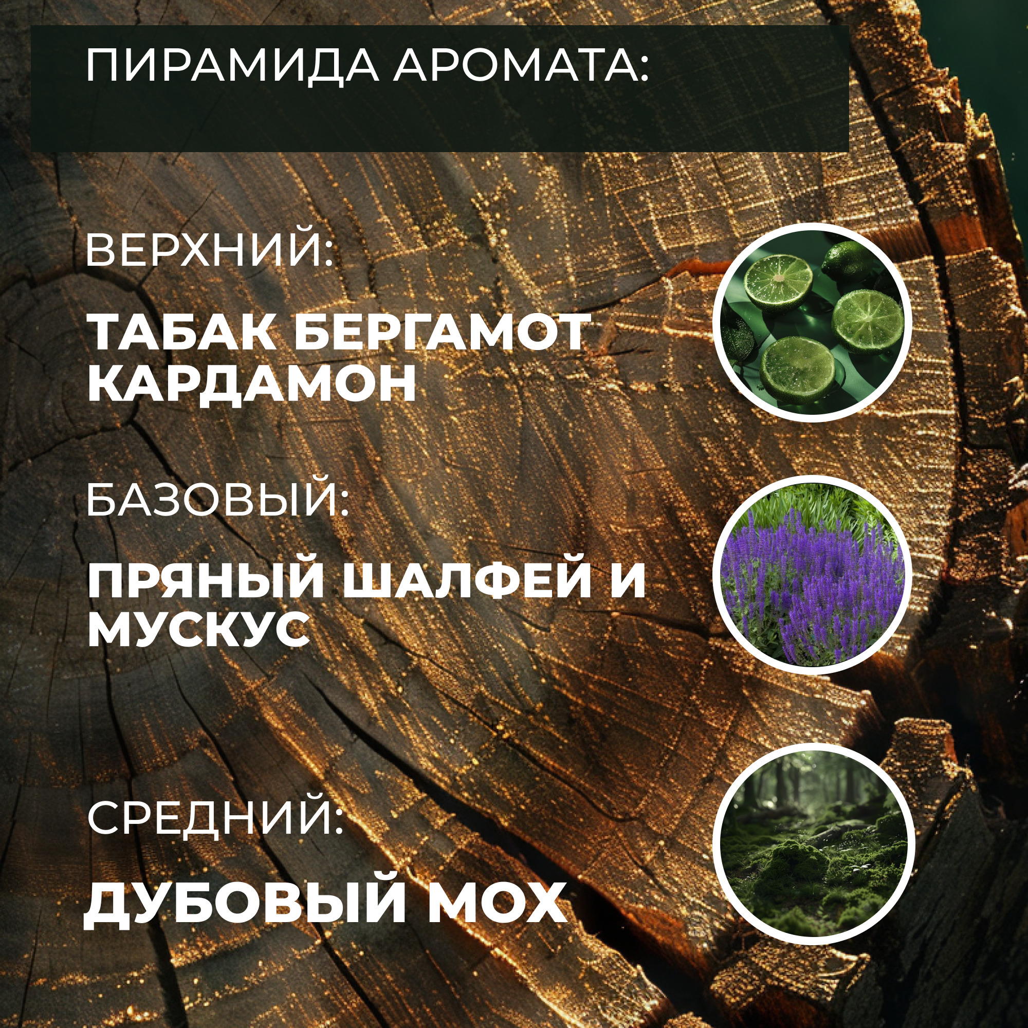 Гель для душа мужской La Fabrique 2 в 1 с ароматом табак-бергамот 500 мл - фото 2