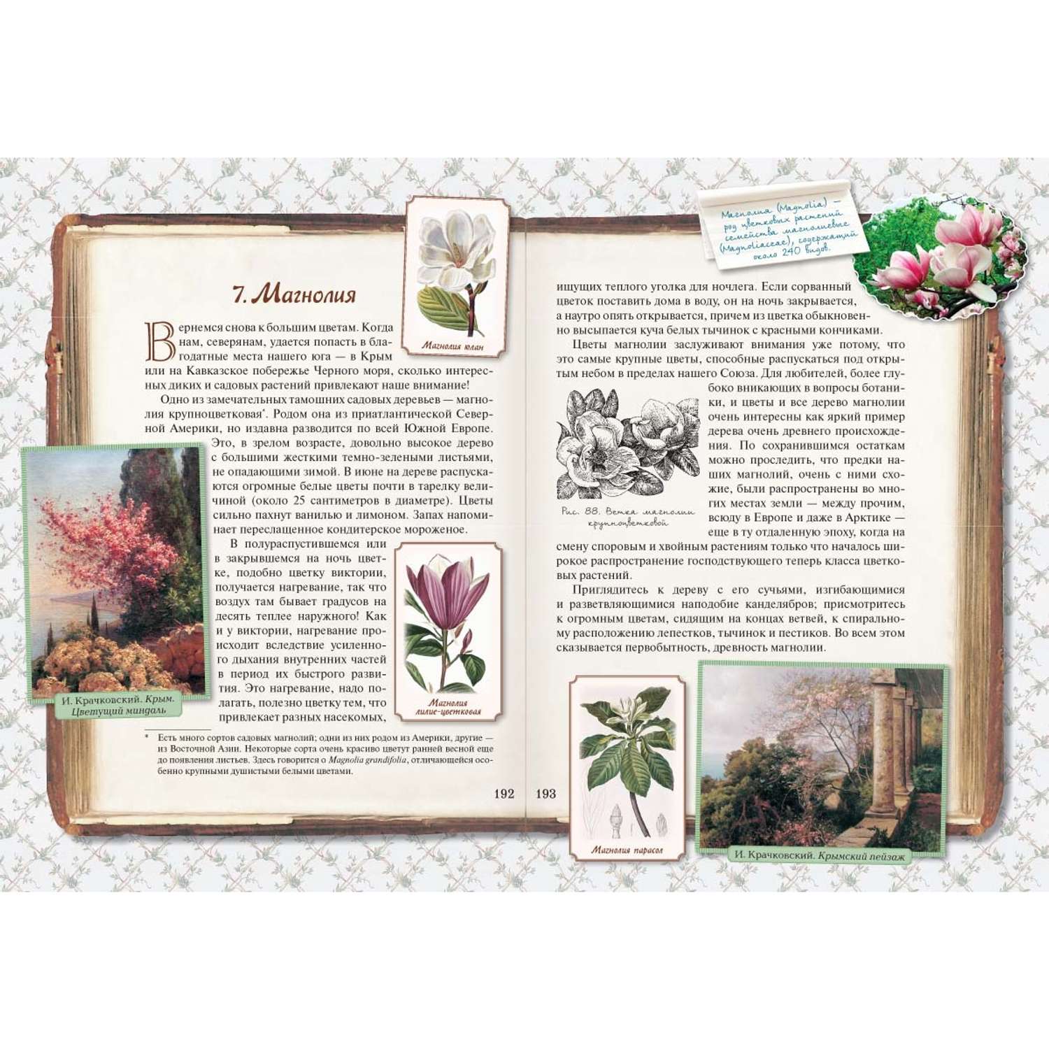Книга Белый город Занимательная ботаника - фото 9