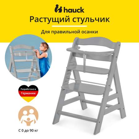 Стульчик для кормления Hauck Alpha+ grey