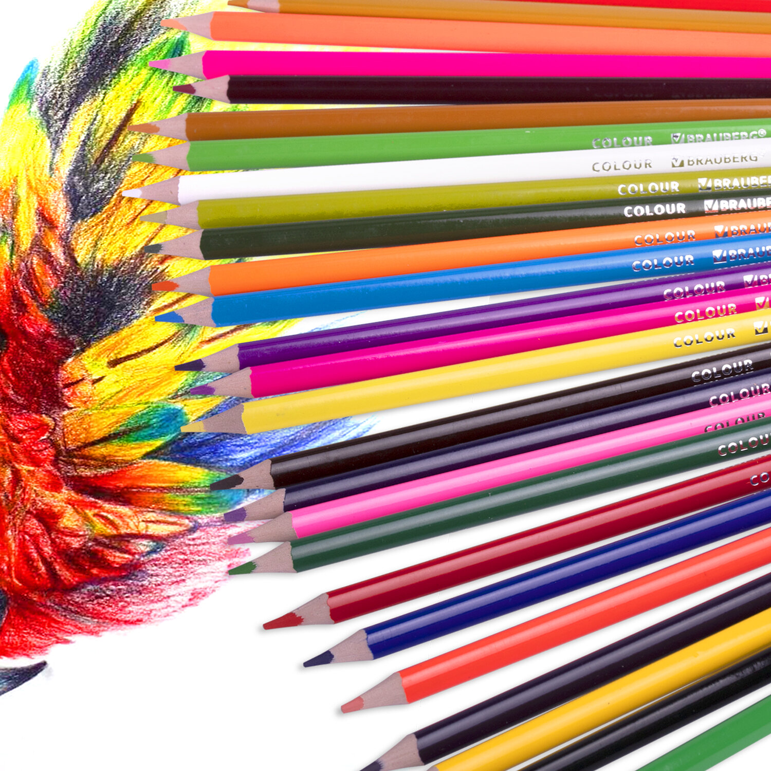 Карандаши цветные Brauberg художественные для рисования 50 цветов трехгранные - фото 12