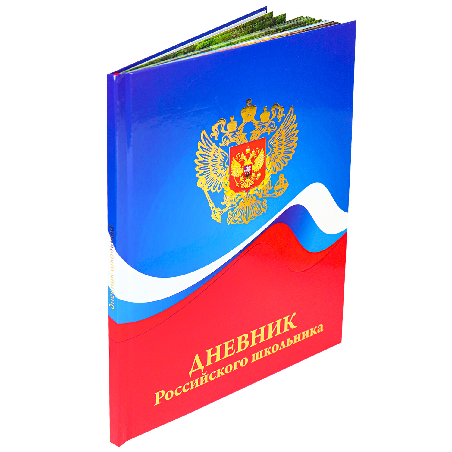 Дневник школьный Prof-Press 48 листов Герб и цвета флага - фото 2