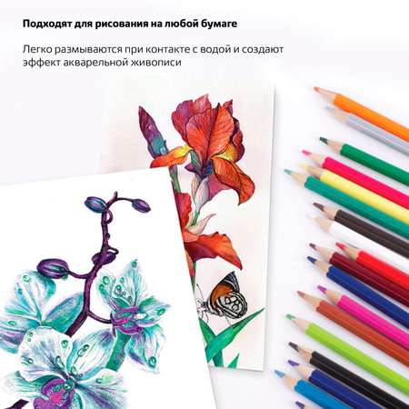 Карандаши цветные Brauberg акварельные художественные для рисования набор 18 цветов