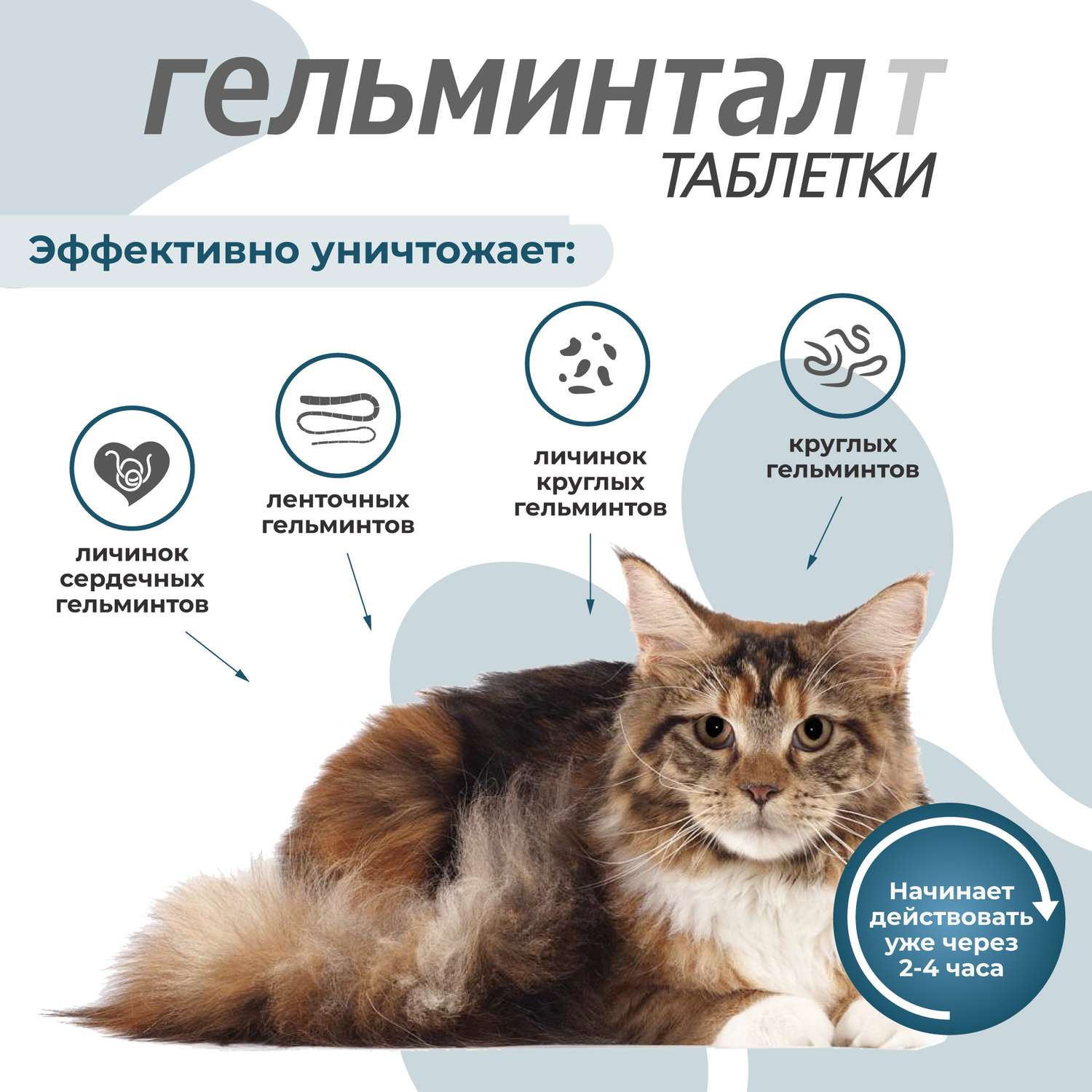 Антигельминтик для кошек Гельминтал более 4кг 2шт - фото 3