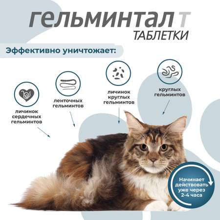 Антигельминтик для кошек Гельминтал более 4кг 2шт