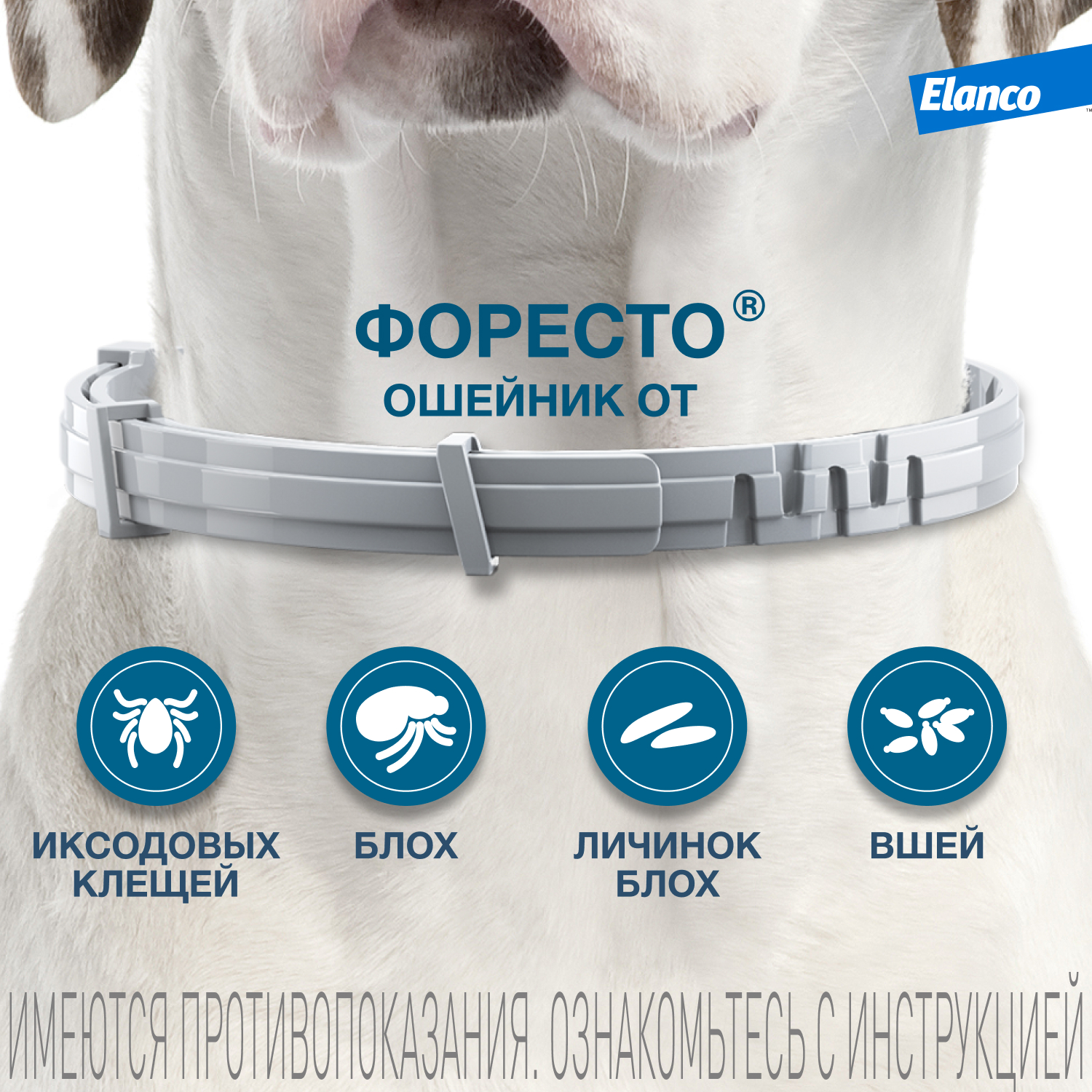 Ошейник для собак Elanco Foresto менее 8кг от блох и клещей защита 8месяцев 38см 65231 - фото 3