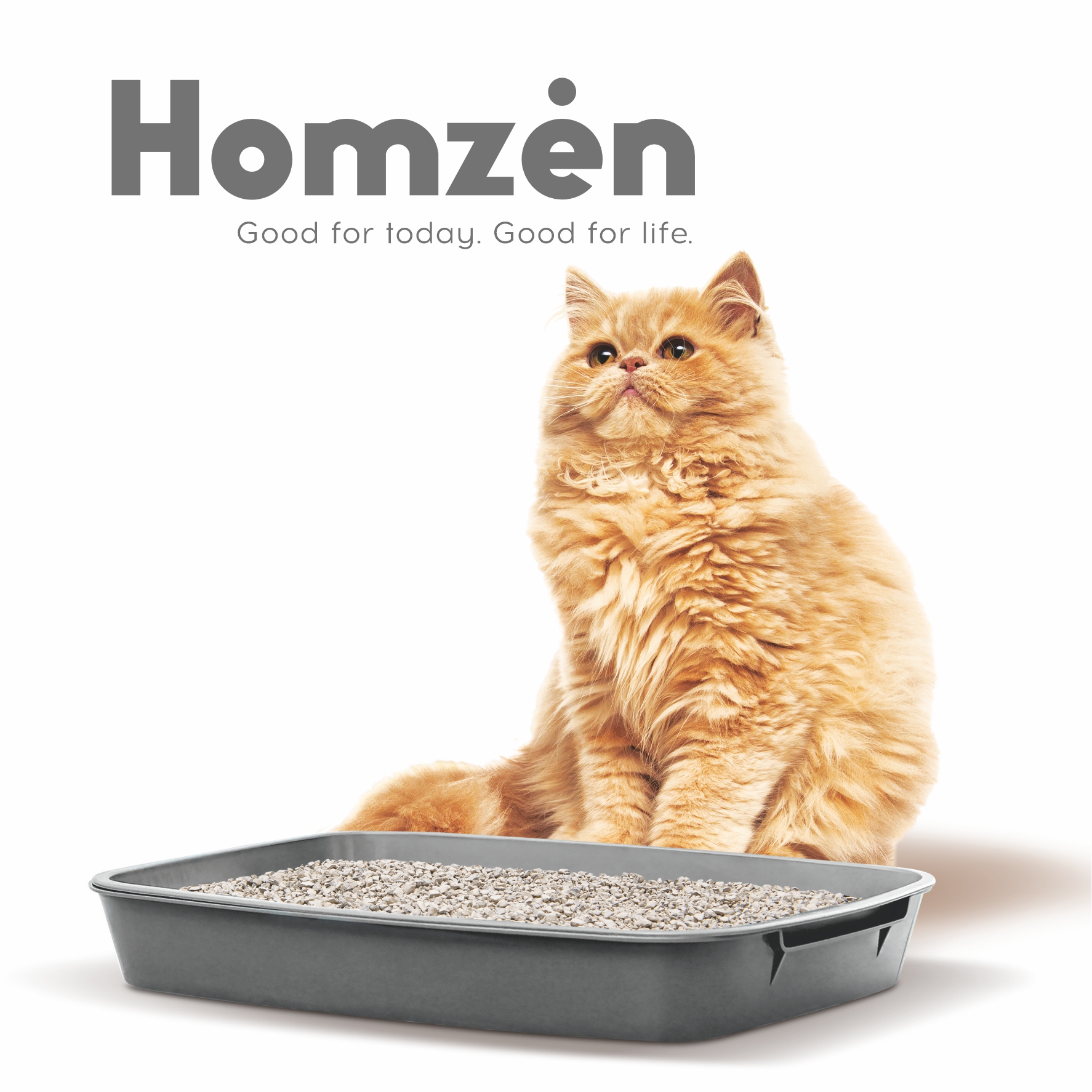 Наполнитель для кошачьего туалета Homzen минеральный впитывающий 4.5л 2.25кг - фото 3