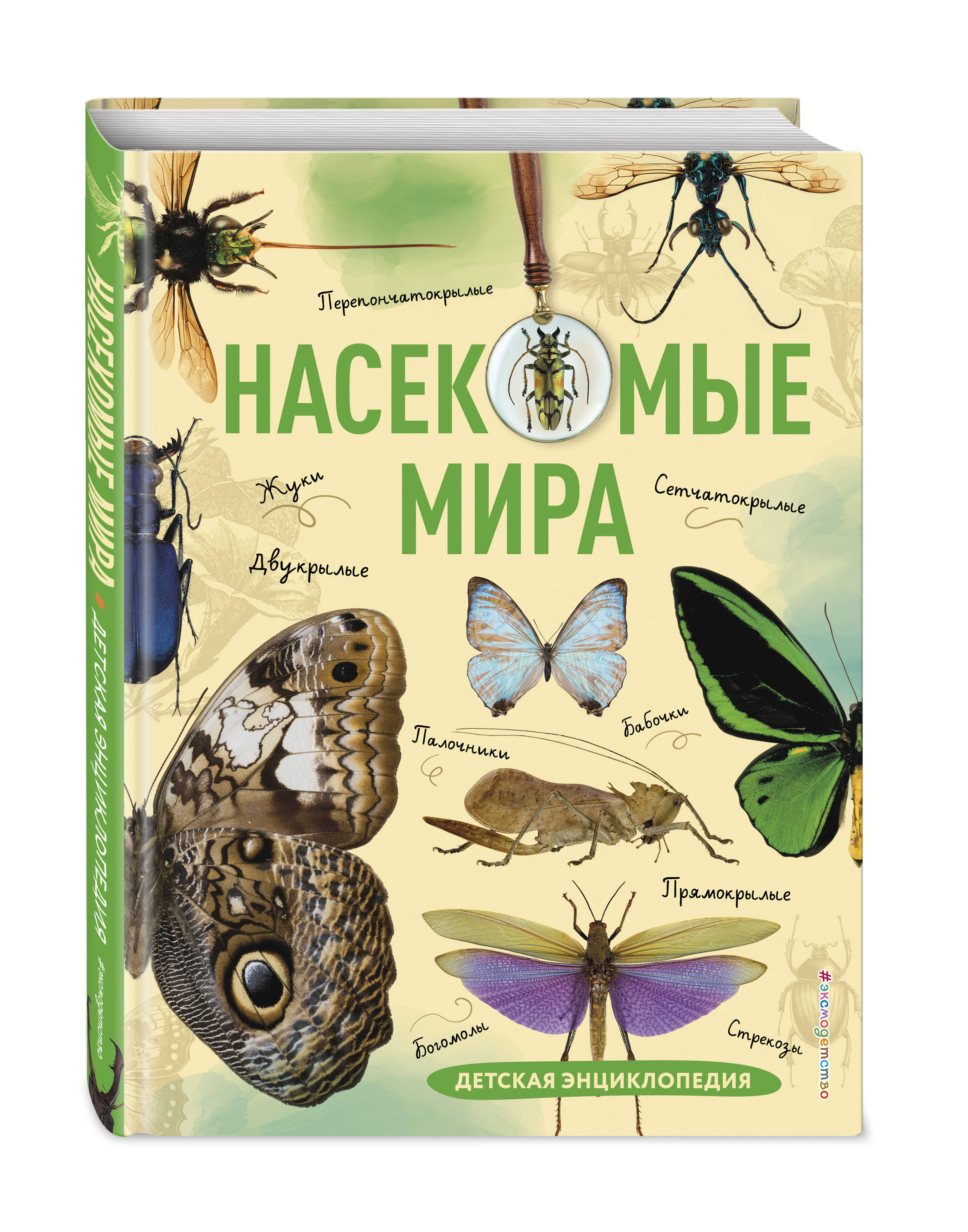 Книга Эксмо Насекомые мира Детская энциклопедия - фото 1