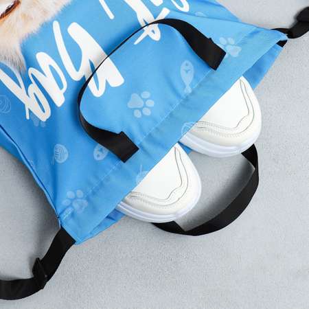 Сумка ArtFox STUDY для обуви «Cat Bag» два вида ручек 41х31 см