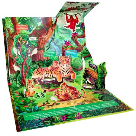 Книга с объемными картинками Malamalama Энциклопедия для детей Животные Джунгли