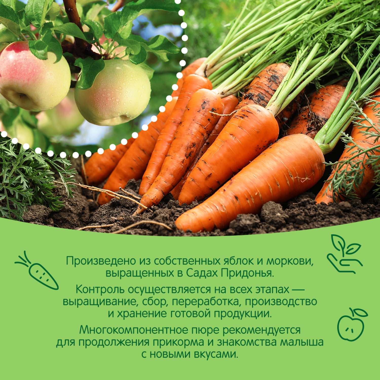 Пюре Сады Придонья яблоко-морковь 125г с 5мес - фото 4