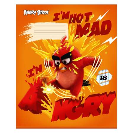 Тетрадь Академия Холдинг Angry Birds 18л клетка