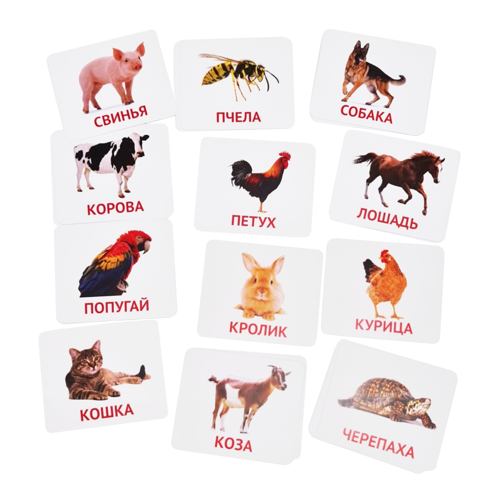 Развивающие обучающие карточки Крокуспак Домашние животные 30 шт - настольная игра для детей - фото 4