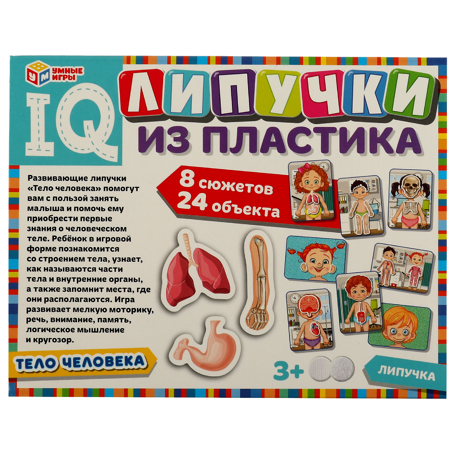 Настольная игра Умные игры Тело человека IQ-липучки - фото 2