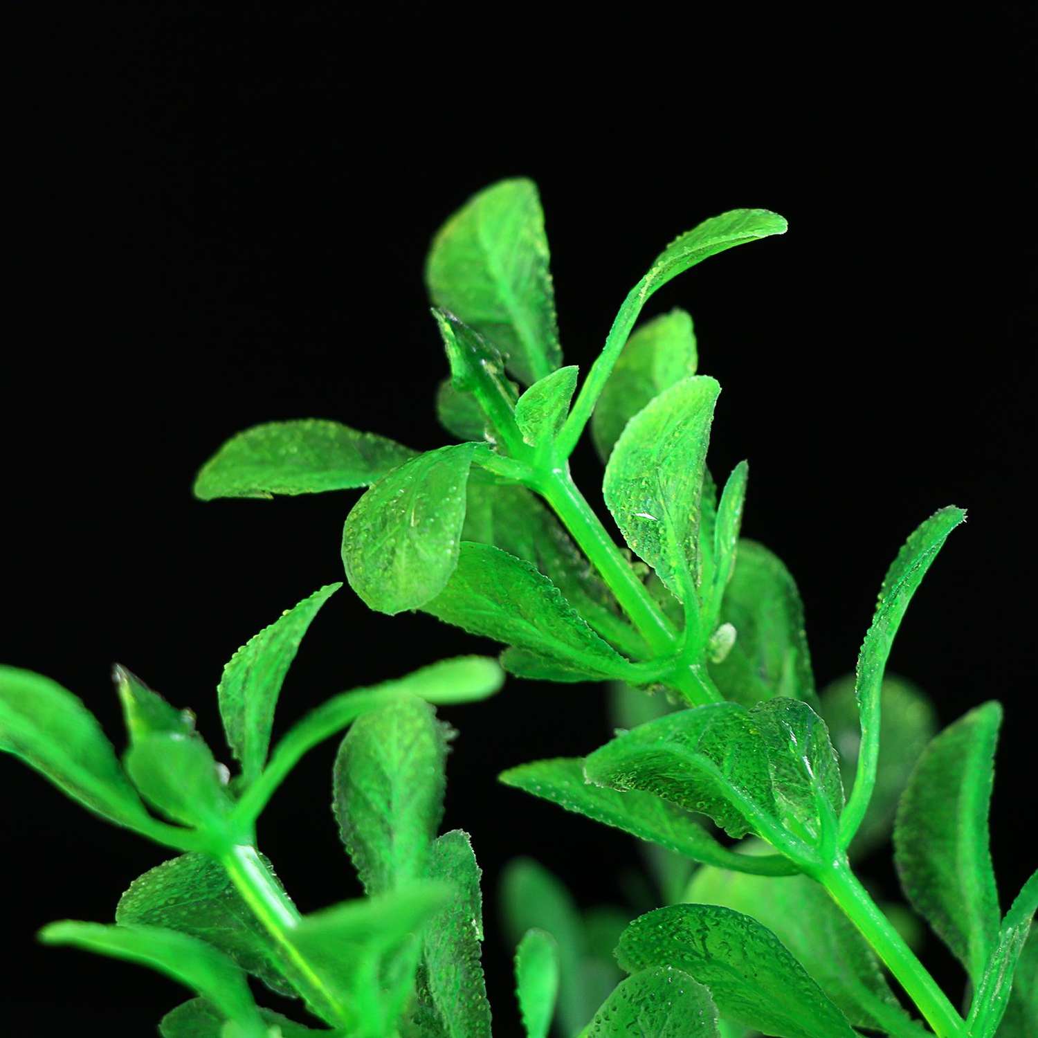 Растение для аквариума Пижон Аква 14 х 14 х 20 см - фото 3