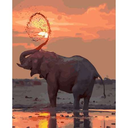 Картина по номерам Molly Африканский слон