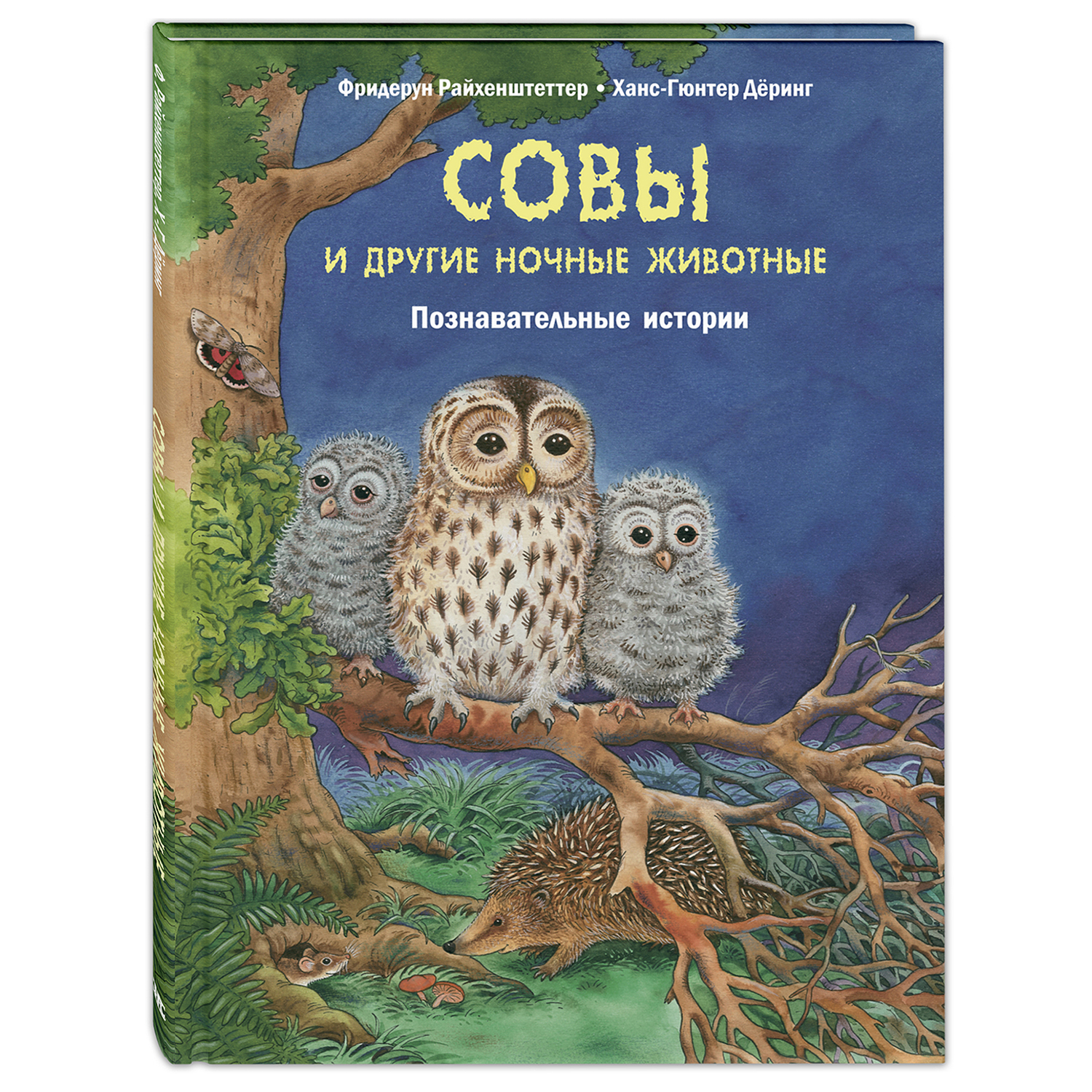 Книга Издательство Энас-книга Совы и другие ночные животные Познавательные  истории купить по цене 418 ₽ в интернет-магазине Детский мир