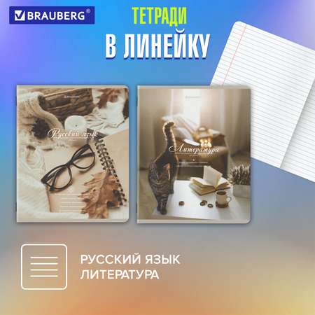 Тетради предметные Brauberg набор 48 листов в клетку и линейку 12 штук