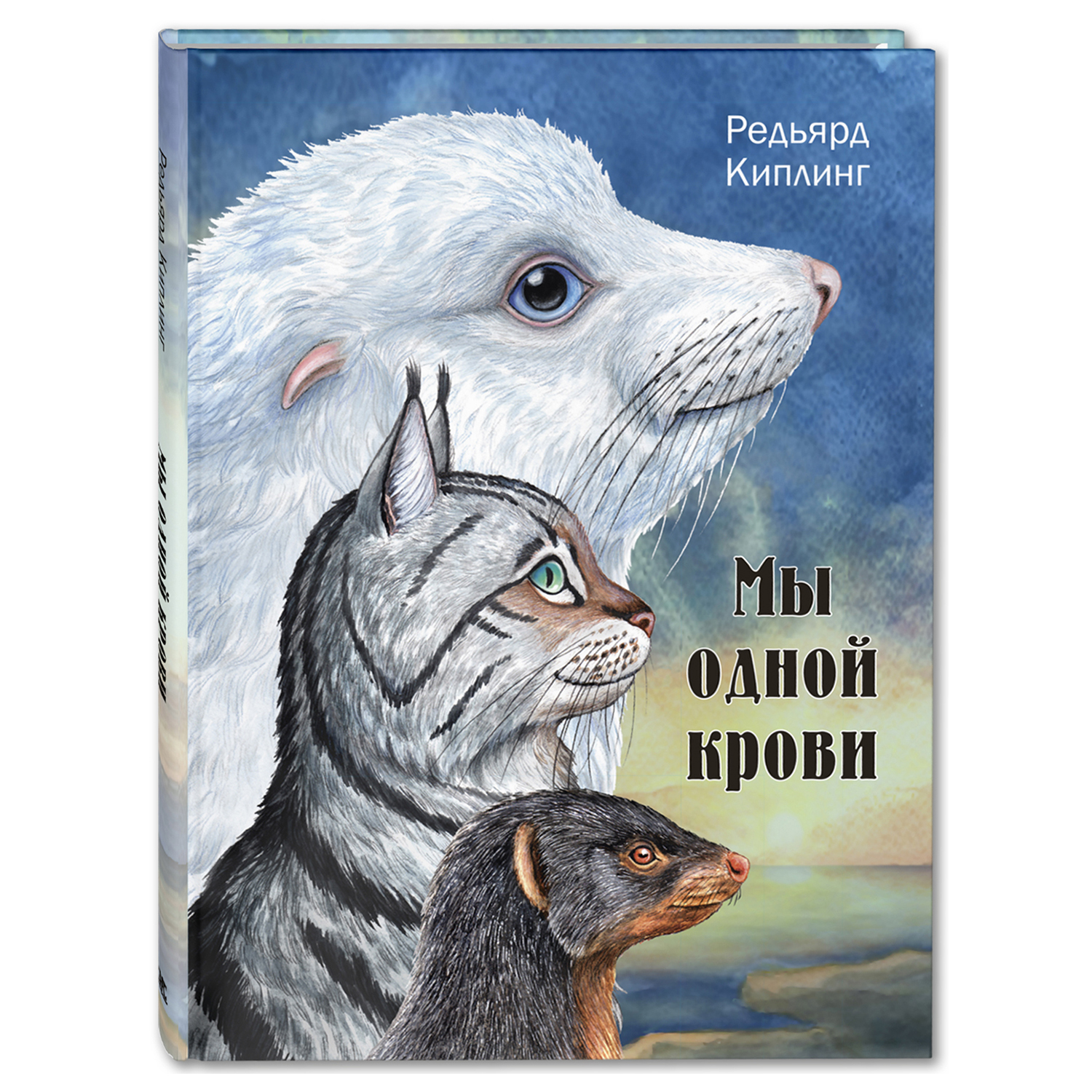 Книга Издательство Энас-книга Мы одной крови купить по цене 605 ₽ в  интернет-магазине Детский мир