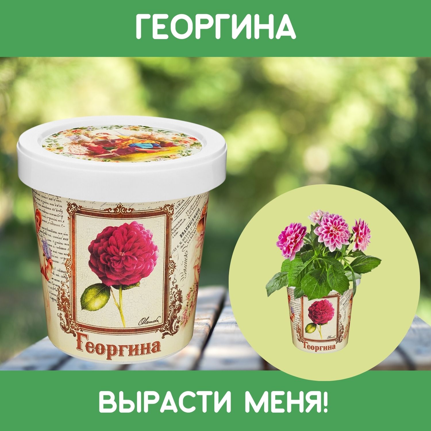 Набор для выращивания растений Rostok Visa Вырасти сам цветок Георгина в подарочном горшке - фото 1