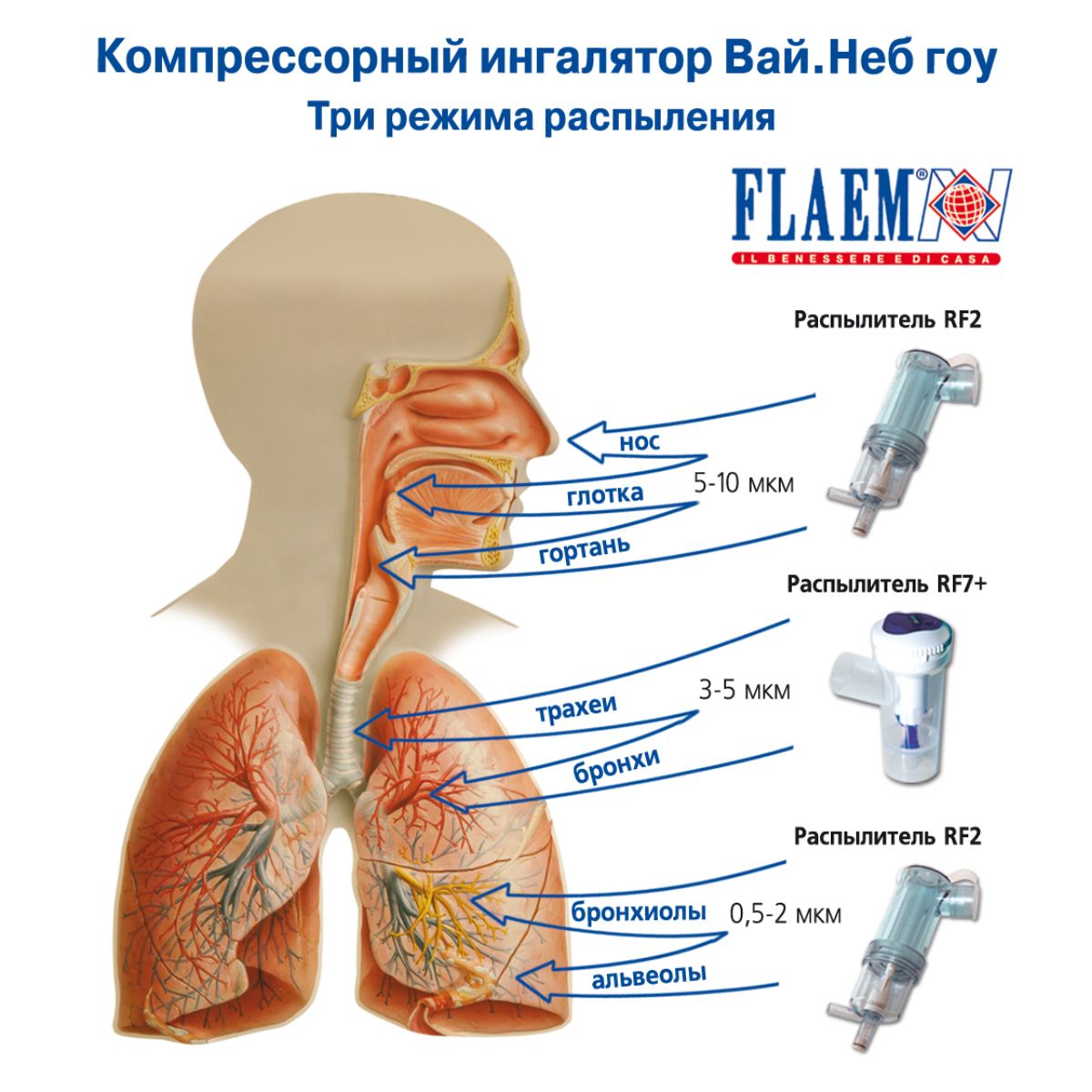 Ингалятор FLAEM NUOVA Компрессорный Вай Неб Гоу 220/12 В и аккумулятор - фото 3