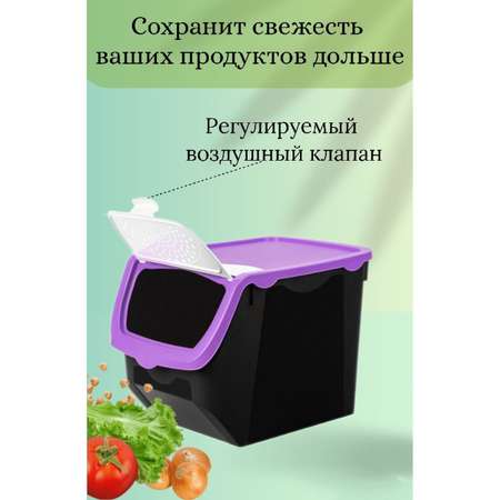 Контейнер для овощей и фруктов elfplast пластиковый 12 литров цвет -черно-фиолетовый