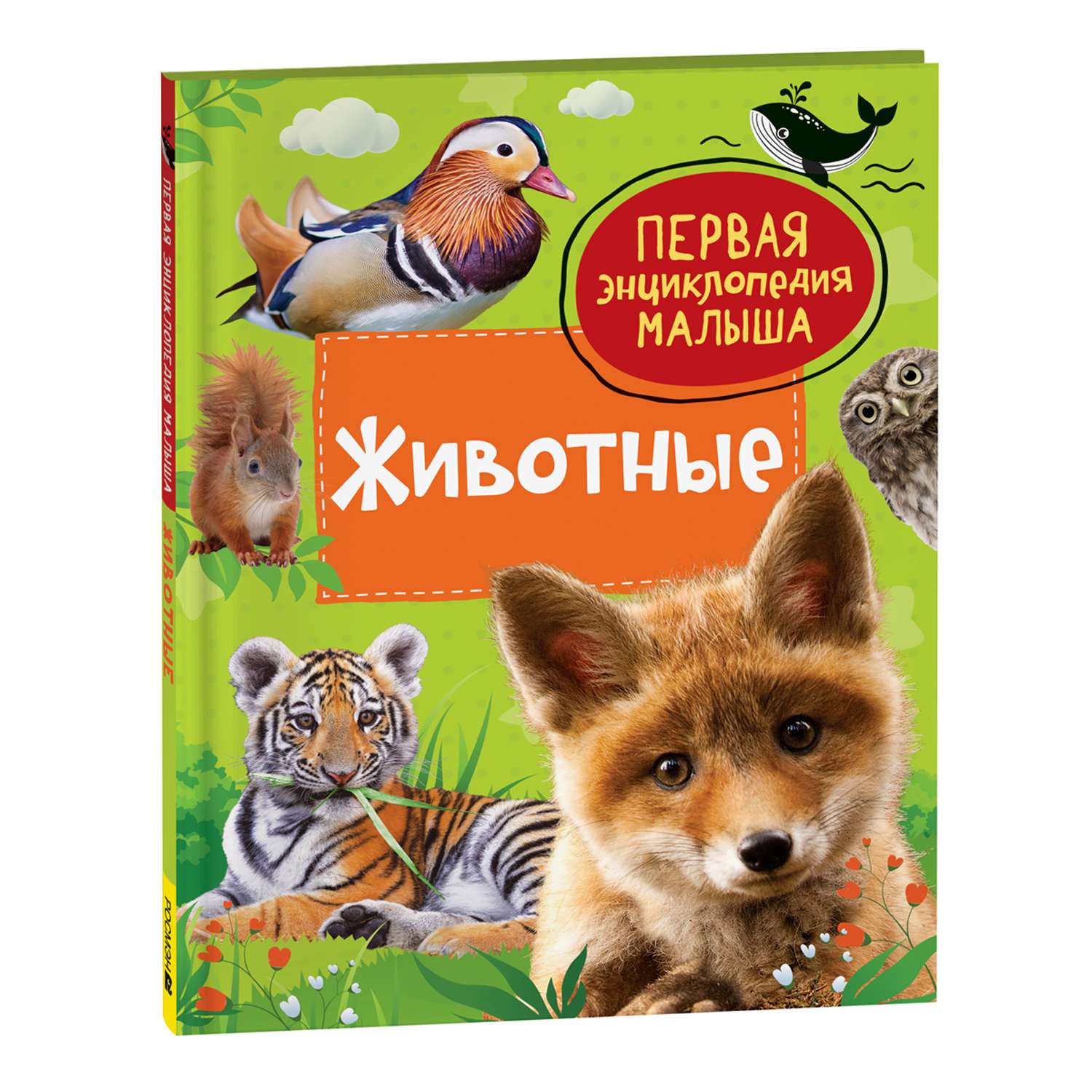 Книга Животные Первая энциклопедия малыша - фото 1