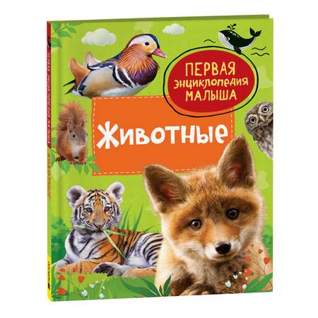 Книга Животные Первая энциклопедия малыша