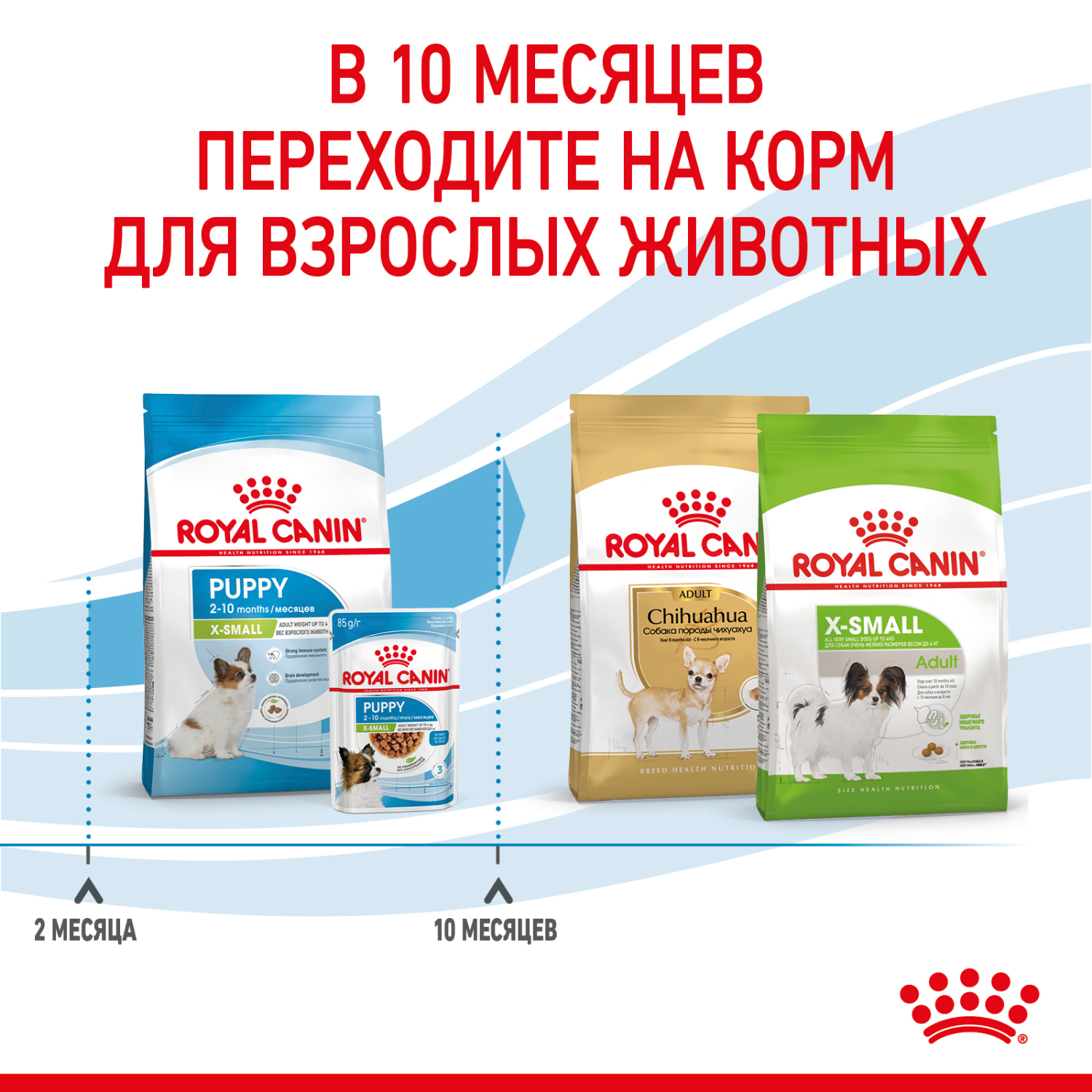 Корм для щенков ROYAL CANIN Puppy миниатюрных пород 3кг - фото 9