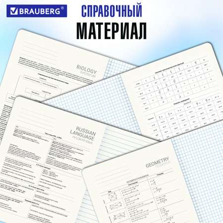 Тетрадь Brauberg 48 лист. 12 шт.