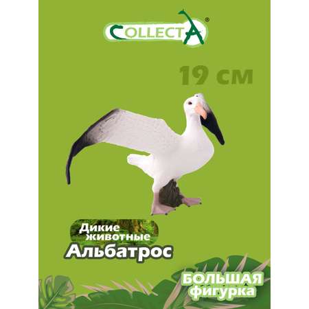 Игрушка Collecta Странствующий альбатрос фигурка птицы