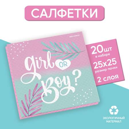 Салфетки Страна карнавалия 25*25см «Gir or Boy» набор 20 шт