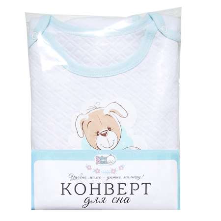 Конверт для сна Baby Nice Голубой Е719011/BL