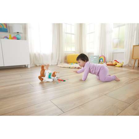 Игрушка Fisher Price