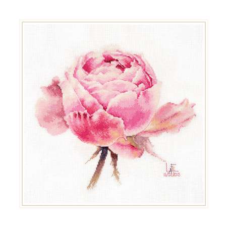 Набор для вышивания АЛИСА крестом 2-53 Акварельные розы. Розовая изысканная 24х26см