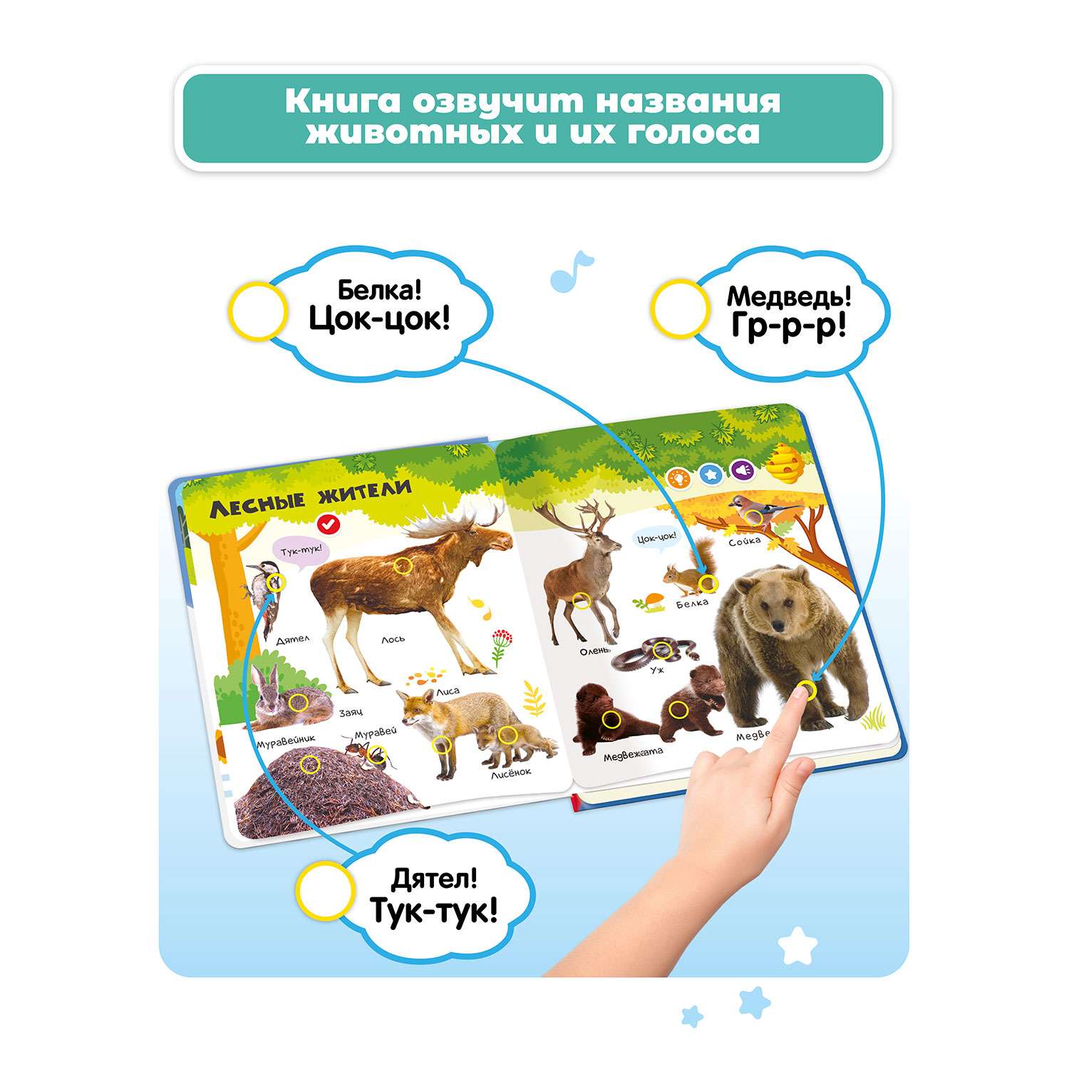 Комплект говорящих книжек BertToys Нажималки: Животные + Цвета - фото 2