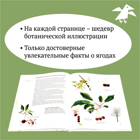 Книга ALBUS CORVUS Софи в мире ягод