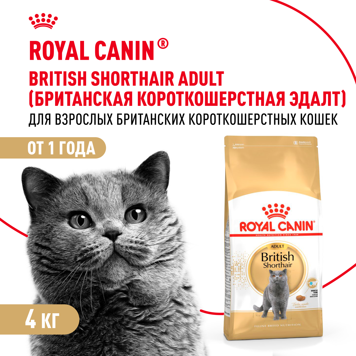 Корм ROYAL CANIN British Shorthair 4 кг для кошек британской короткошерстной породы - фото 1