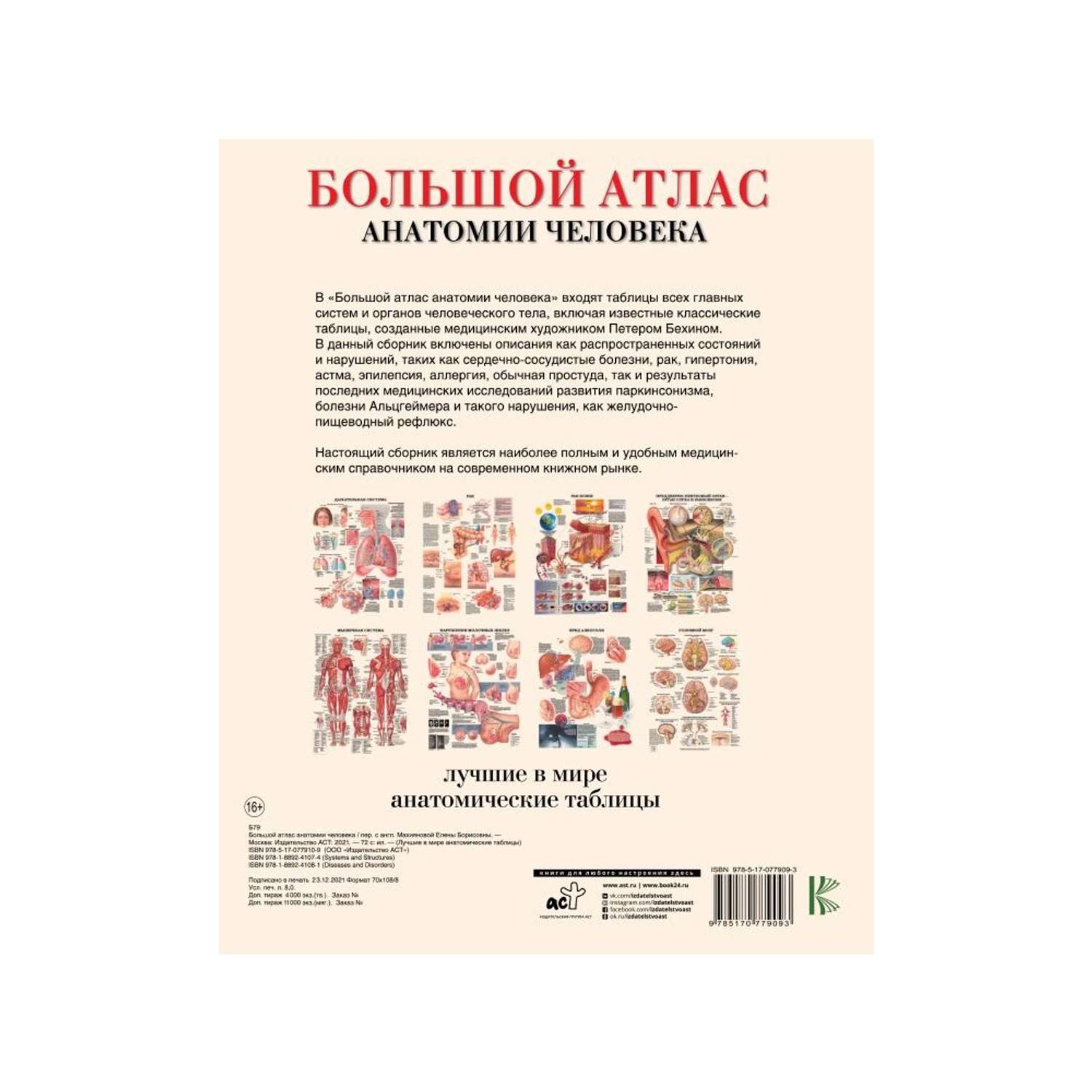 Книга АСТ Большой атлас анатомии человека - фото 2