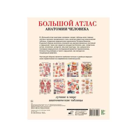 Книга АСТ Большой атлас анатомии человека