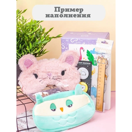 Подарочный бокс для девочки iLikeGift Milota Box mini мечта