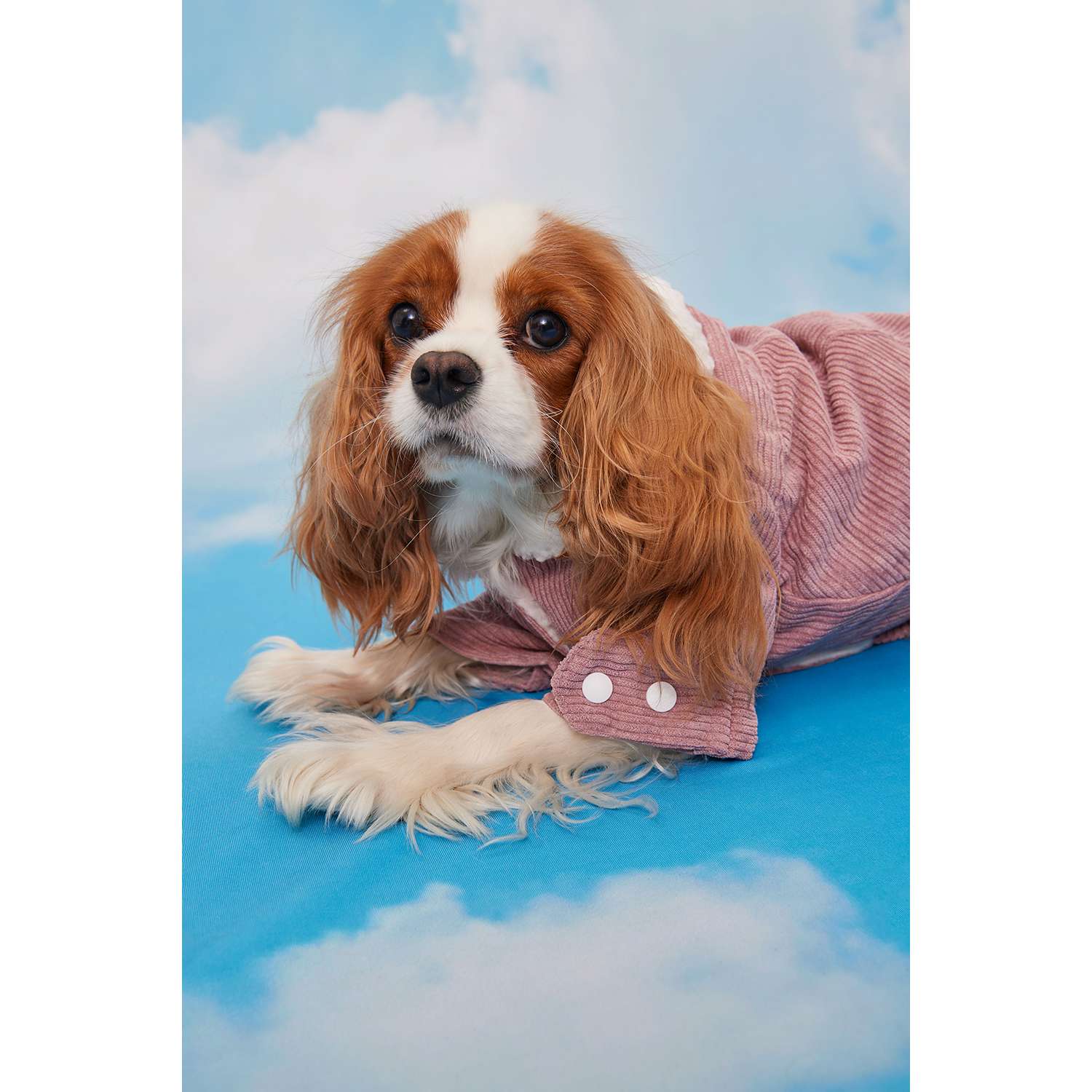 Куртка для собак Зоозавр розовая 25 - фото 15