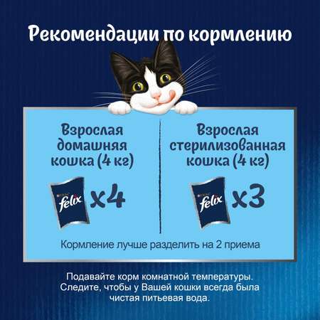 Корм для кошек Felix 75г Природа вкуса для взрослых с лососем в соусе Felix