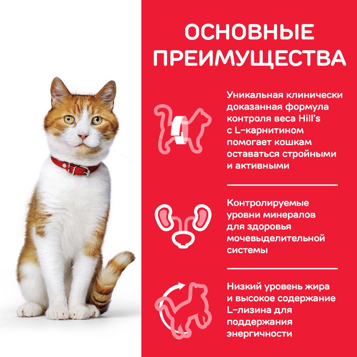 Корм сухой для кошек HILLS 3кг Science Plan с курицей для молодых стерилизованных - фото 4